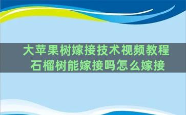 大苹果树嫁接技术视频教程 石榴树能嫁接吗怎么嫁接